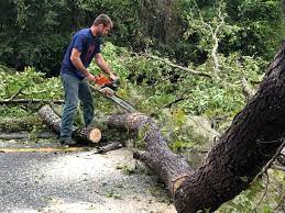 Best Weed Control  in Crestwood Village, NJ